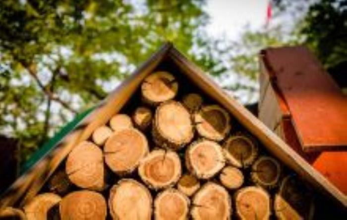 上海宋庆龄故居纪念馆上海景点