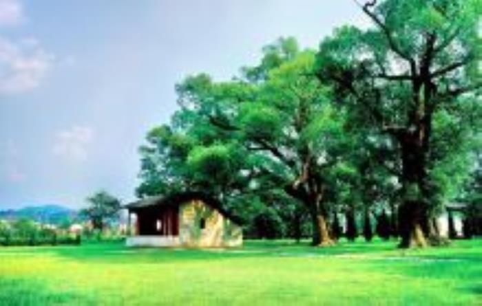 叶坪革命旧址群江西景点