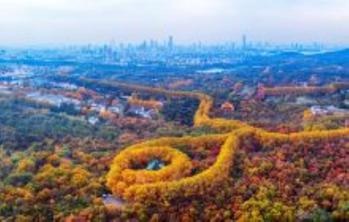 美龄宫江苏景点