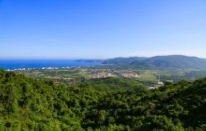 三亚热带天堂（鸟巢）海南景点