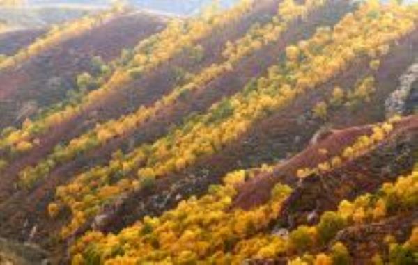 马鞍山景区内蒙古景点